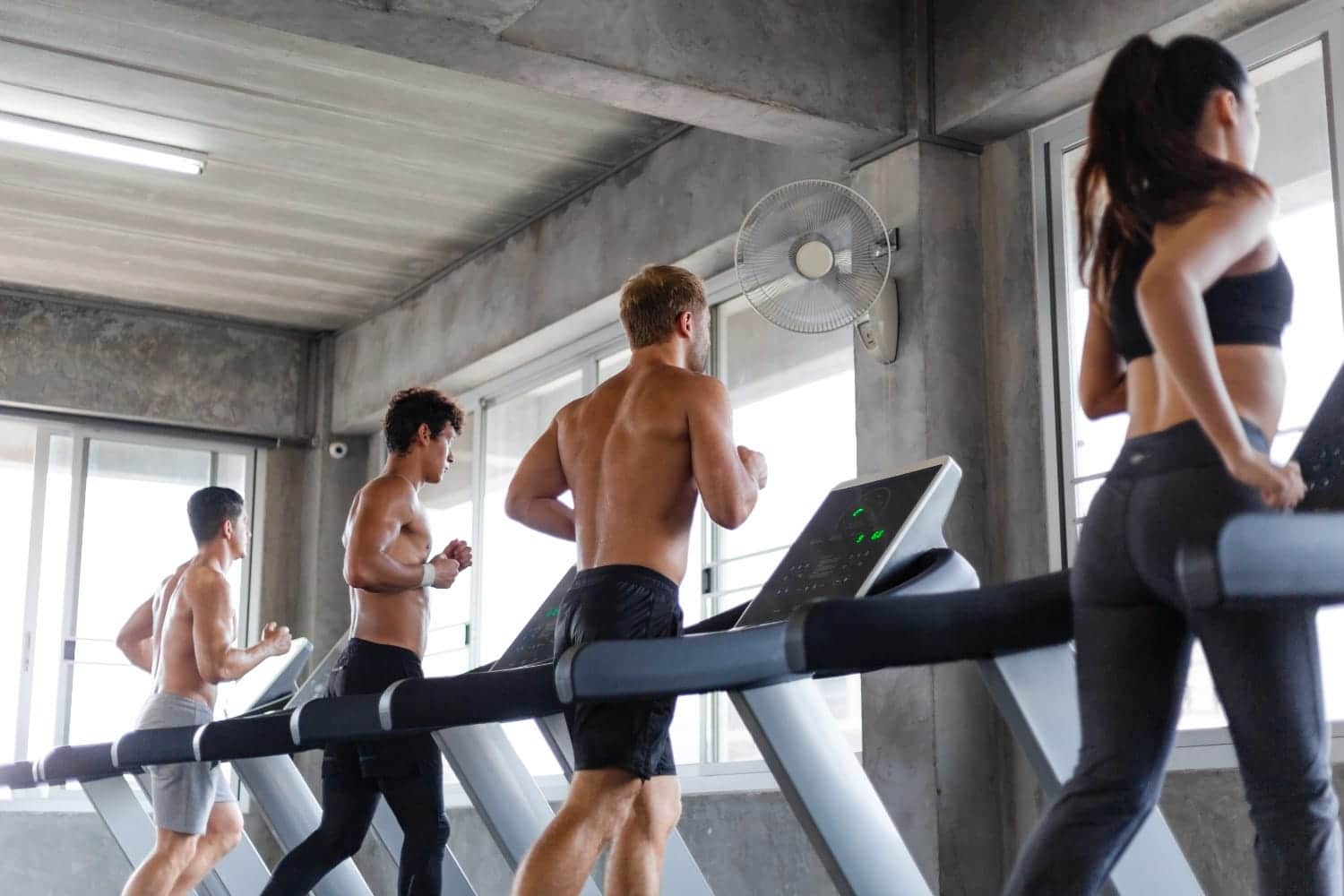 a group of people running on treadmills in a gym.